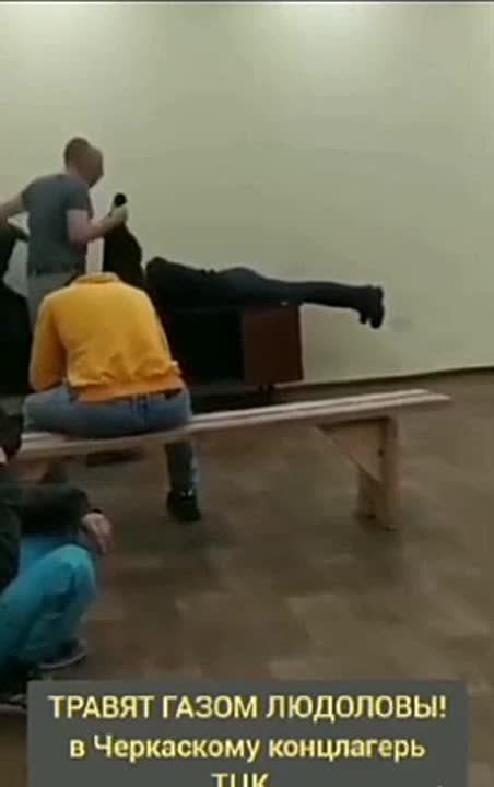        : ,        ,   