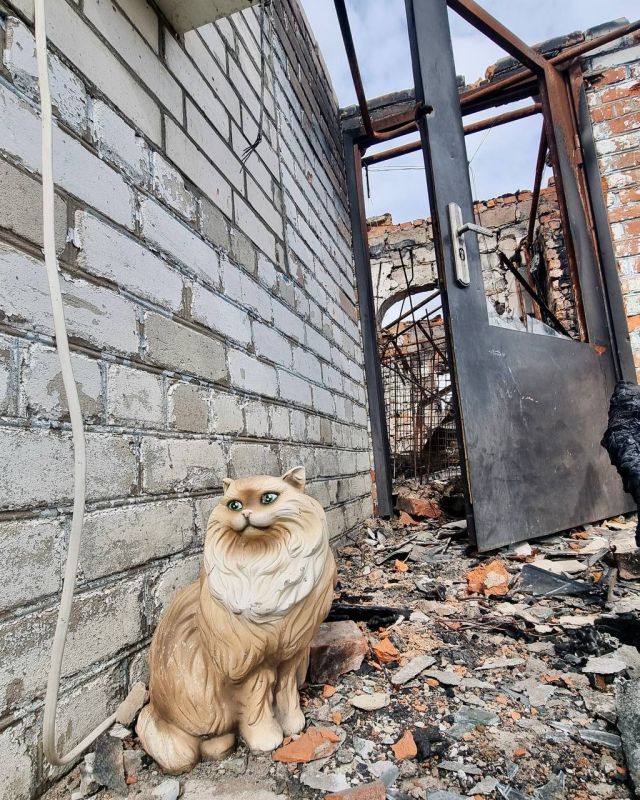  :  :. &quot;, ,   , ,      ,      