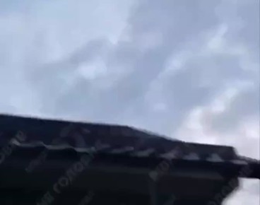  :          ,        , ,    ,      