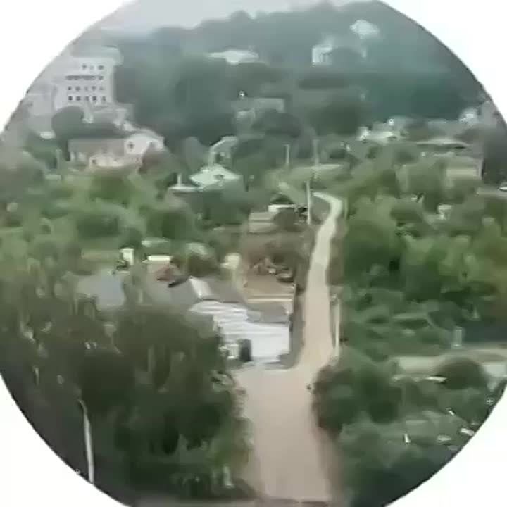           ( )