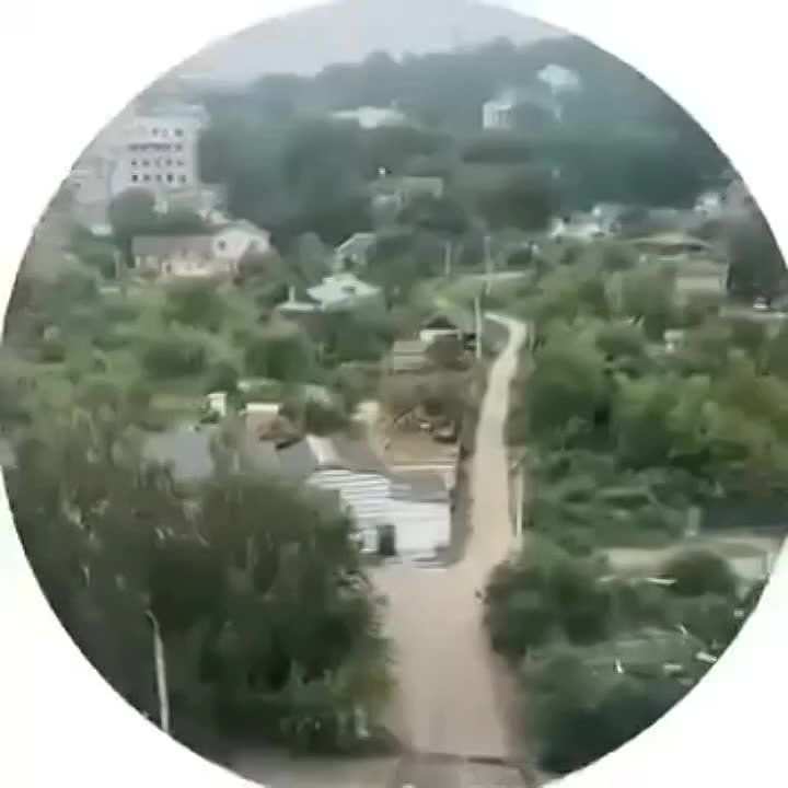  :       &quot;&quot;     ( ), ,    ,   