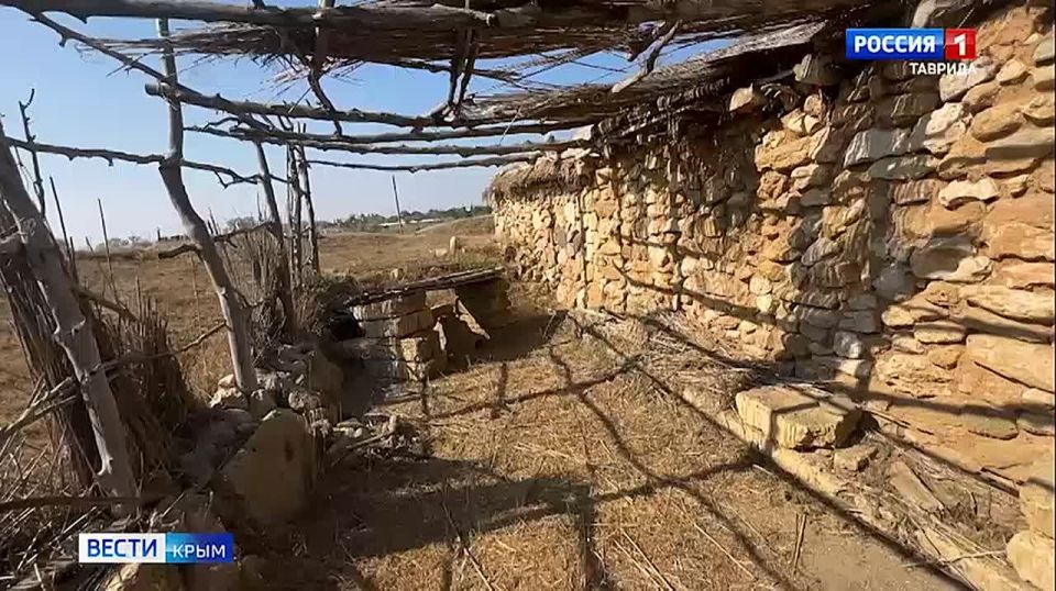 «Мчим в Крым»: выпуск 02.08.2025