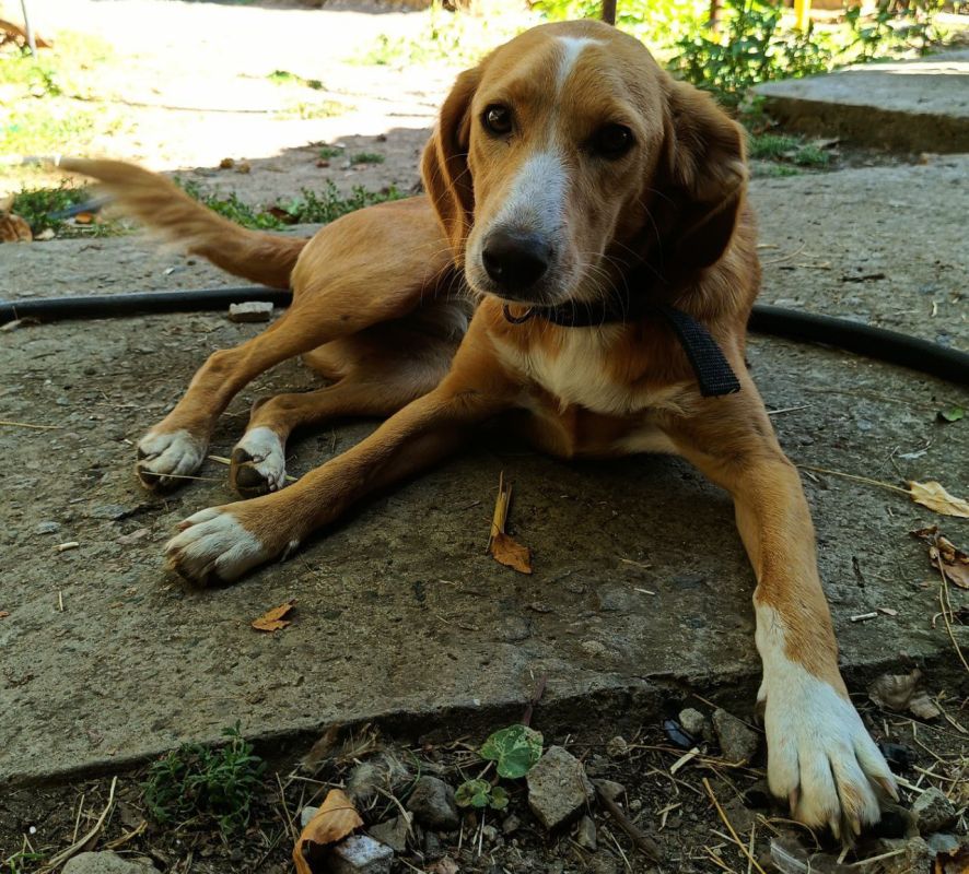  :   ()..     ,  7 .  , , ...   