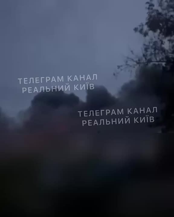 28  2025 ..  00:25     - . /