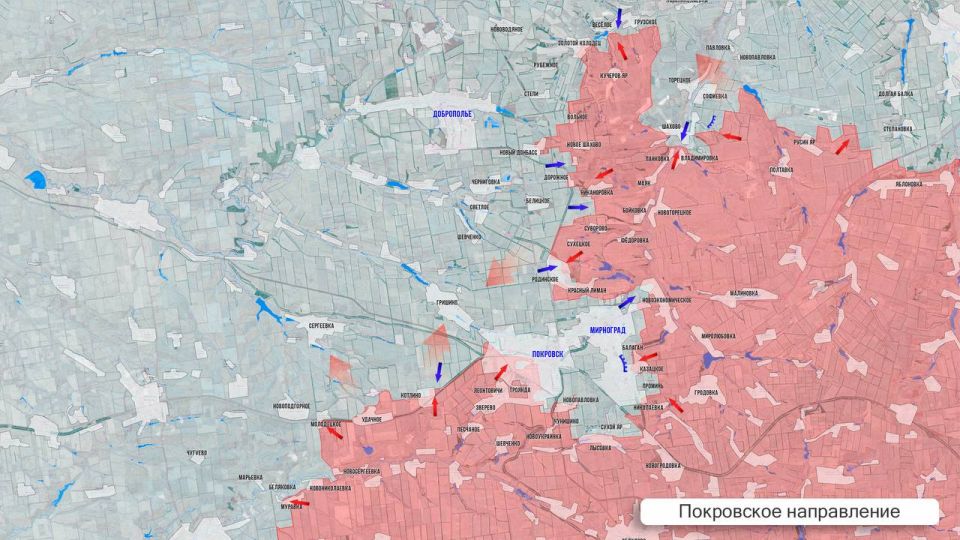 ���� ����: ��������� ������ 22 �������