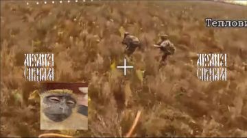 Бегать по полям под взором ударных расчетов FPV — смелая, но крайне бессмысленная затея