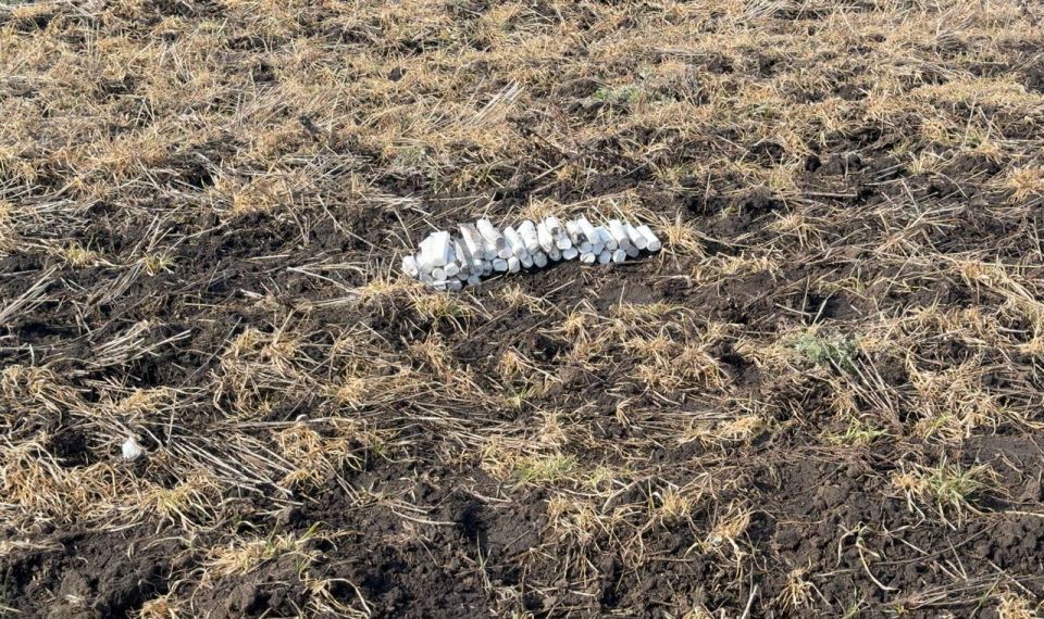 Вчера в подмосковном Красногорске ребенок нашел на земле сверток с деньгами, поднял его, и сверток взорвался у него в руках