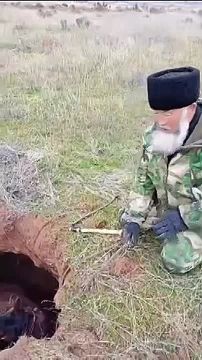 Лошадь провалилась в средневековый склеп в Астраханской области