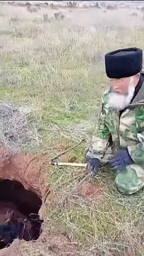 Лошадь провалилась в средневековый склеп в Астраханской области