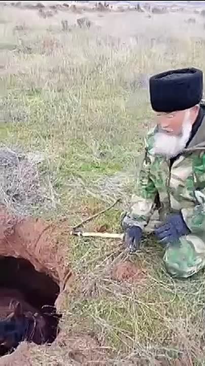 Лошадь провалилась в средневековый склеп в Астраханской области