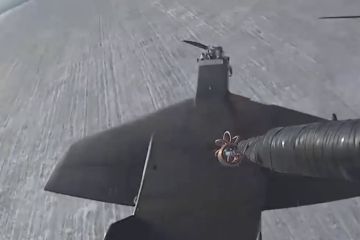 Кадры уничтожения расчетами БПЛА ВС РФ ударных и разведывательных БПЛА самолетного типа и личного состава ВСУ