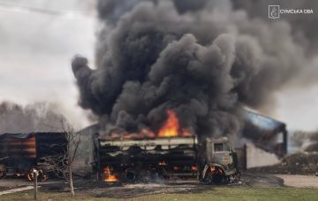 ���� ����: �� �� ����� ������� ����� �� �������� � 7 �������� �������: