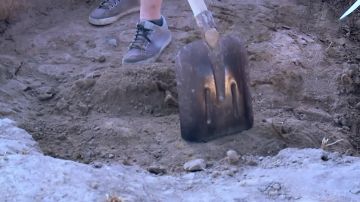 ���� ���������: ������������ � ����� ���������
