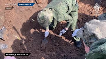 Сотрудники СК России по Волгоградской области и кадеты приняли участие в церемонии захоронения защитников Сталинграда